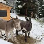 Bila Labut Pec 3* Pec pod Sněžkou