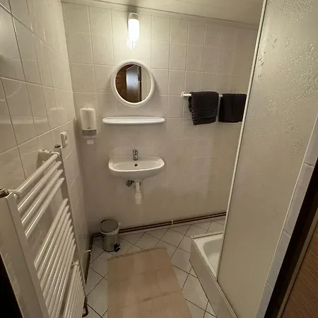 Guest house Bila Labut Horsky Hotylek