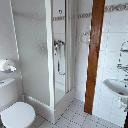 Guest house Bila Labut Pec 3*