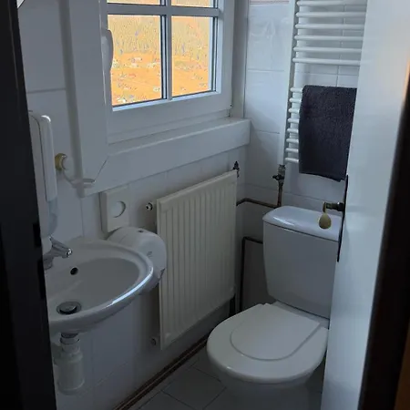 Guest house Bila Labut Pec 3*
