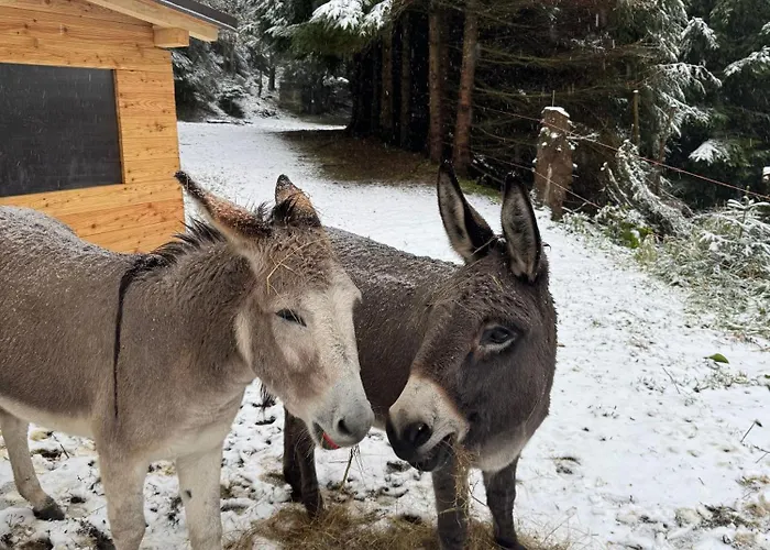 Bila Labut Pec 3* Pec pod Snezkou